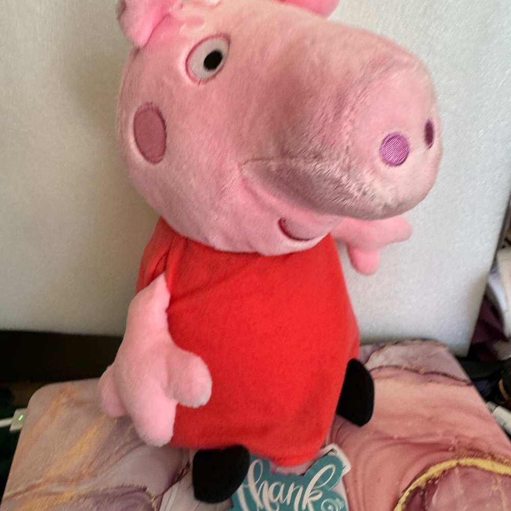 Peppa zigs 12”